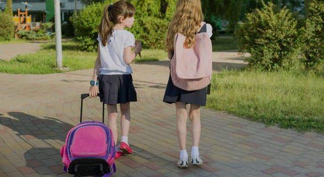 Trolley taske